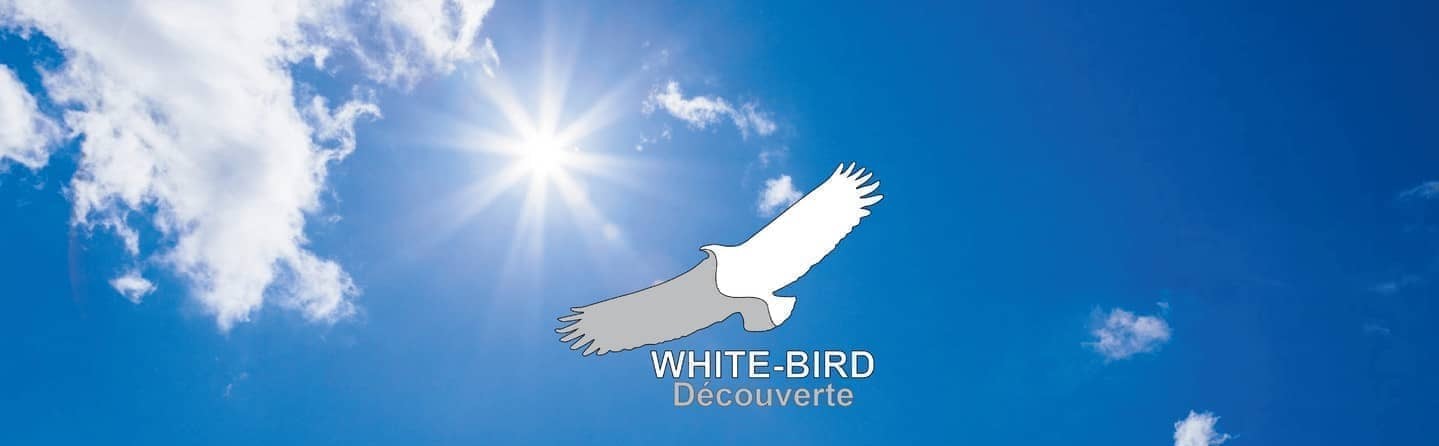 WHITE-BIRD Découverte